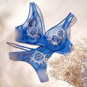 Moonlight Sheer Plunge Bralette 36 / C + 2 underwear M SET